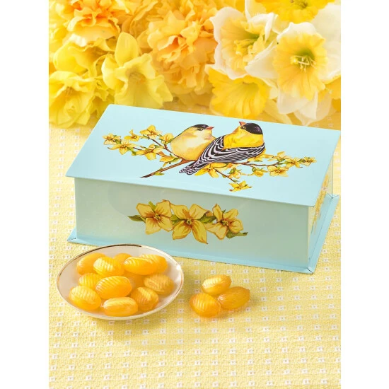 Coupon ๐คฉ Vermont Country Store Patio Time Outdoor Chair Pad Red โญ - Image 8