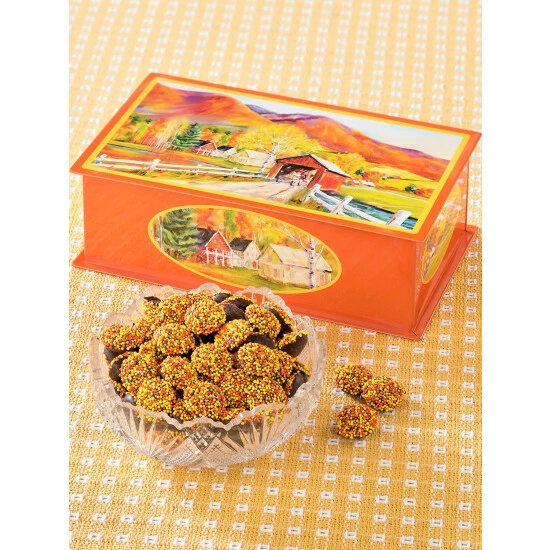 Best deal π― Vermont Country Store Covered Bridge Tin With Autumn Nonpareils π₯°